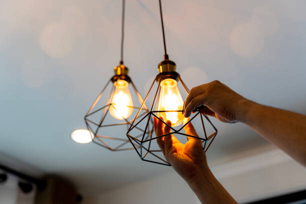 Best Outdoor Lighting Installation  in Avon, MN